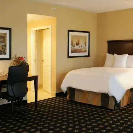 Homewood Suites By Hilton Toronto Airport Corporate Centre-2